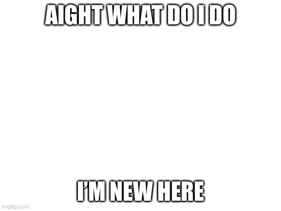 I’m new here | AIGHT WHAT DO I DO; I’M NEW HERE | image tagged in blank white template | made w/ Imgflip meme maker