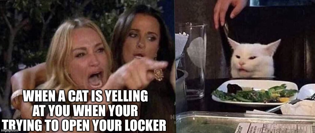 Wow |  WHEN A CAT IS YELLING AT YOU WHEN YOUR TRYING TO OPEN YOUR LOCKER | image tagged in woman yelling at cat | made w/ Imgflip meme maker