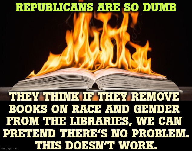 White jerks are just doing a holding pattern. They think they can hold down darker-skinned Americans forever. It's not forever. |  REPUBLICANS ARE SO DUMB; THEY THINK IF THEY REMOVE 
BOOKS ON RACE AND GENDER 
FROM THE LIBRARIES, WE CAN 
PRETEND THERE'S NO PROBLEM.
THIS DOESN'T WORK. | image tagged in conservative,right wing,republican,idiots,books,burning | made w/ Imgflip meme maker