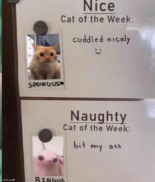 They call it “Naughty” for a reason | made w/ Imgflip meme maker