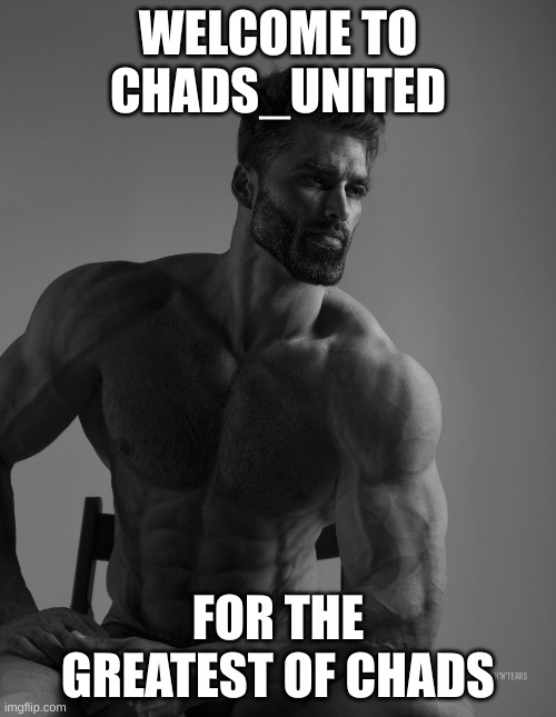 Welcome to Chads_United! |  WELCOME TO CHADS_UNITED; FOR THE GREATEST OF CHADS | image tagged in giga chad,chad,memes,welcome,gigachad move,hi | made w/ Imgflip meme maker