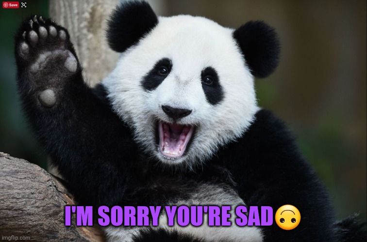 Have a nice day | I'M SORRY YOU'RE SAD? | image tagged in have a nice day | made w/ Imgflip meme maker