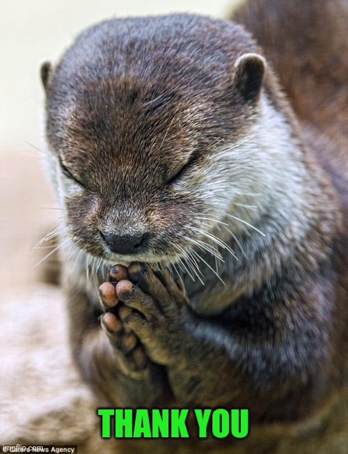 Thank you Lord Otter | THANK YOU | image tagged in thank you lord otter | made w/ Imgflip meme maker
