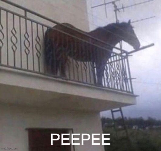 Peepee | image tagged in memes | made w/ Imgflip meme maker