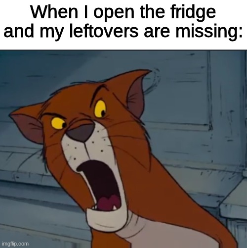 *storms into siblings room* | When I open the fridge and my leftovers are missing: | image tagged in the aristocats,disney,leftovers,siblings,food,cat | made w/ Imgflip meme maker