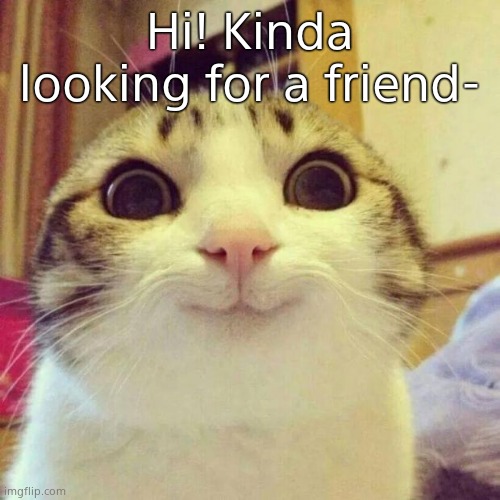 Smiling Cat | Hi! Kinda looking for a friend- | image tagged in memes,smiling cat | made w/ Imgflip meme maker