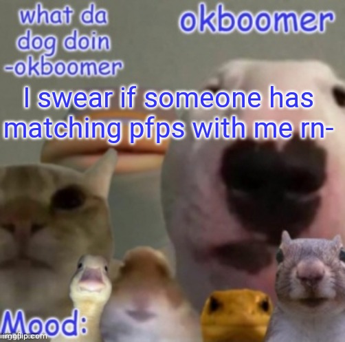 Okboomer template v4 (credit to yeetrex) | I swear if someone has matching pfps with me rn- | image tagged in okboomer template v4 credit to yeetrex | made w/ Imgflip meme maker