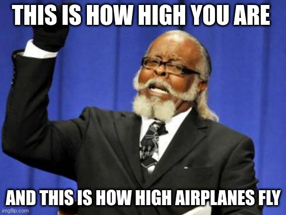 Too Damn High Meme | THIS IS HOW HIGH YOU ARE; AND THIS IS HOW HIGH AIRPLANES FLY | image tagged in memes,too damn high | made w/ Imgflip meme maker