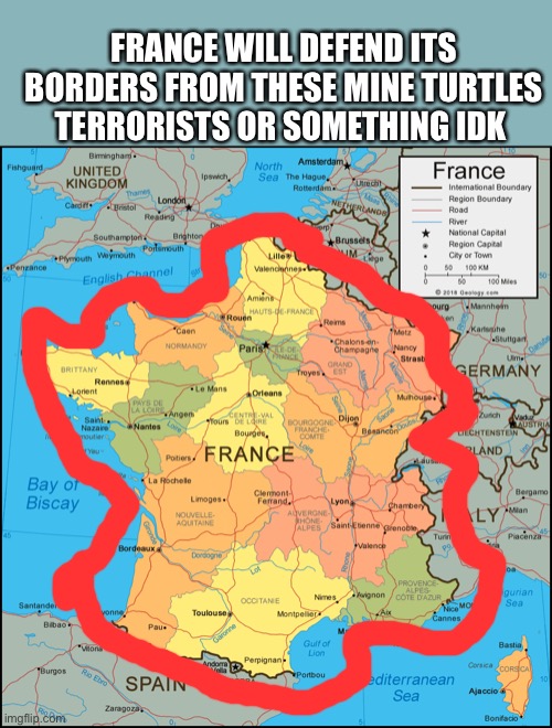 FRANCE WILL DEFEND ITS BORDERS FROM THESE MINE TURTLES TERRORISTS OR SOMETHING IDK | made w/ Imgflip meme maker