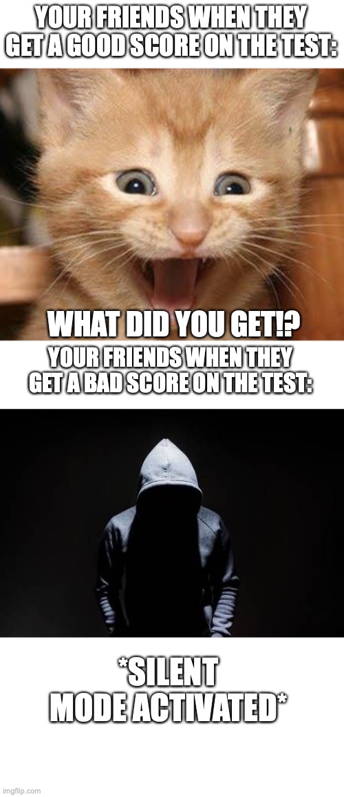 *also avoids your question* | YOUR FRIENDS WHEN THEY GET A GOOD SCORE ON THE TEST:; WHAT DID YOU GET!? YOUR FRIENDS WHEN THEY GET A BAD SCORE ON THE TEST:; *SILENT MODE ACTIVATED* | image tagged in memes,excited cat | made w/ Imgflip meme maker