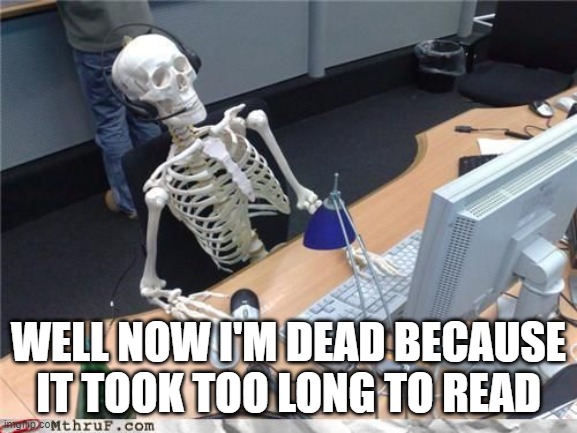 Skeleton Computer | WELL NOW I'M DEAD BECAUSE IT TOOK TOO LONG TO READ | image tagged in skeleton computer | made w/ Imgflip meme maker