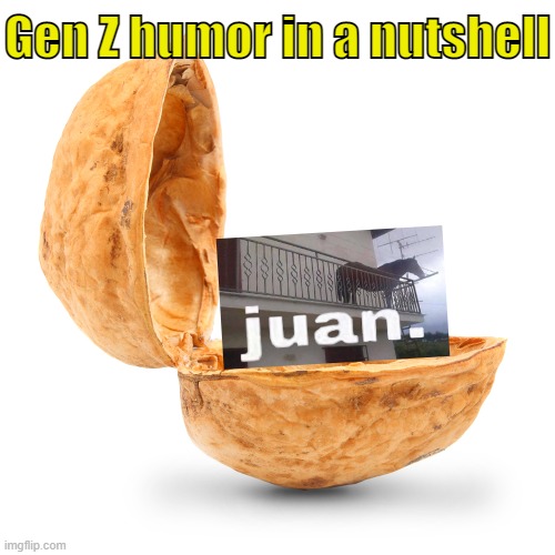 . | Gen Z humor in a nutshell | made w/ Imgflip meme maker