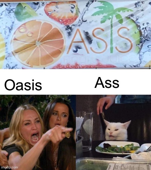 My vacation plans | Ass; Oasis | image tagged in memes,woman yelling at cat | made w/ Imgflip meme maker