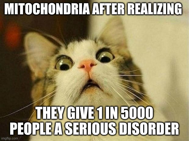 Scared Cat | MITOCHONDRIA AFTER REALIZING; THEY GIVE 1 IN 5000 PEOPLE A SERIOUS DISORDER | image tagged in memes,scared cat | made w/ Imgflip meme maker