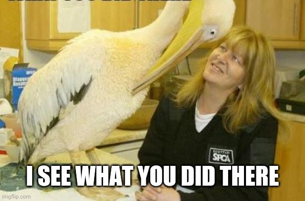 I see what you did there Pelican | I SEE WHAT YOU DID THERE | image tagged in i see what you did there pelican | made w/ Imgflip meme maker