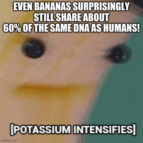 reject humanity be banana | EVEN BANANAS SURPRISINGLY STILL SHARE ABOUT 60% OF THE SAME DNA AS HUMANS! | image tagged in banana | made w/ Imgflip meme maker