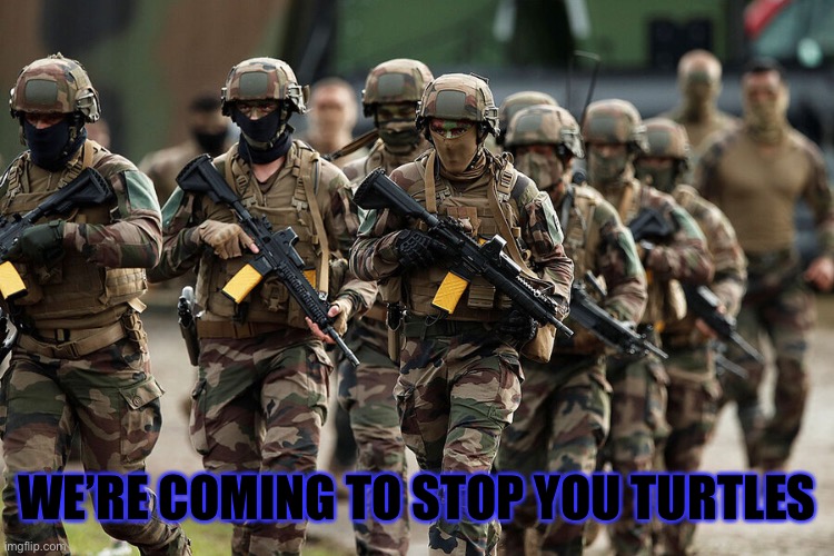 WE’RE COMING TO STOP YOU TURTLES | made w/ Imgflip meme maker