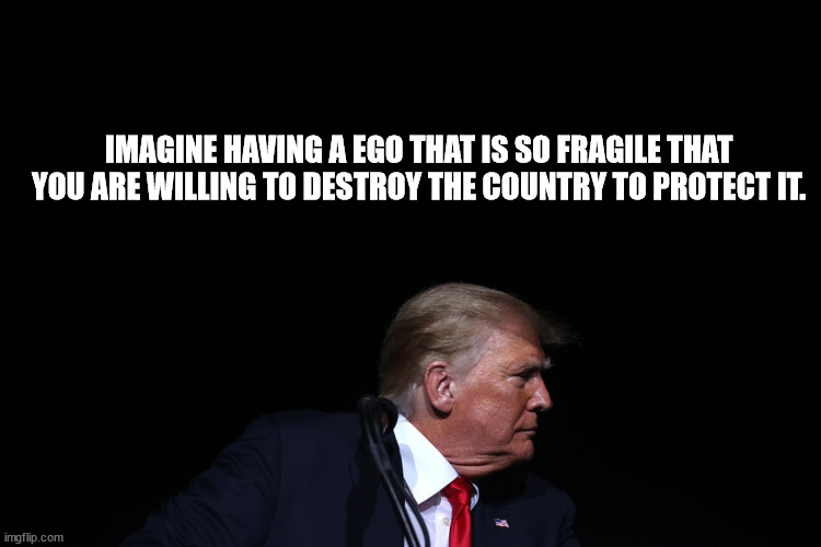 Trump's fragile ego | IMAGINE HAVING A EGO THAT IS SO FRAGILE THAT YOU ARE WILLING TO DESTROY THE COUNTRY TO PROTECT IT. | image tagged in trump | made w/ Imgflip meme maker