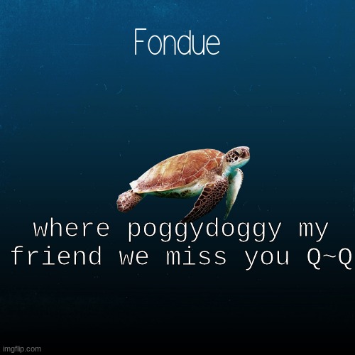 where he at | where poggydoggy my friend we miss you Q~Q | image tagged in turtle template-fondue | made w/ Imgflip meme maker