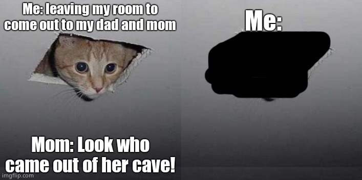 Me: leaving my room to come out to my dad and mom; Me:; Mom: Look who came out of her cave! | image tagged in memes,ceiling cat | made w/ Imgflip meme maker