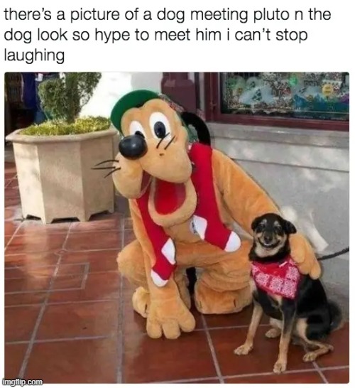 such hype | image tagged in pluto,doggo,hyped,dog,disney,happy | made w/ Imgflip meme maker