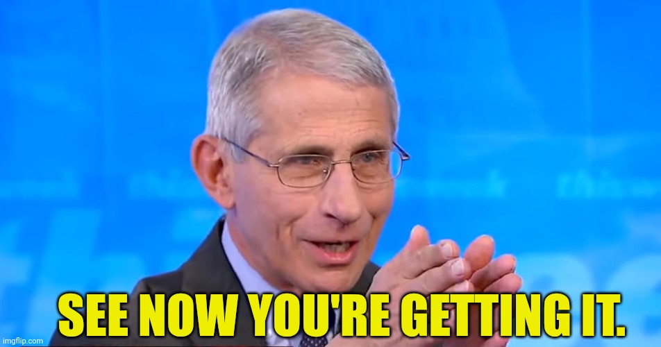 Dr. Fauci 2020 | SEE NOW YOU'RE GETTING IT. | image tagged in dr fauci 2020 | made w/ Imgflip meme maker
