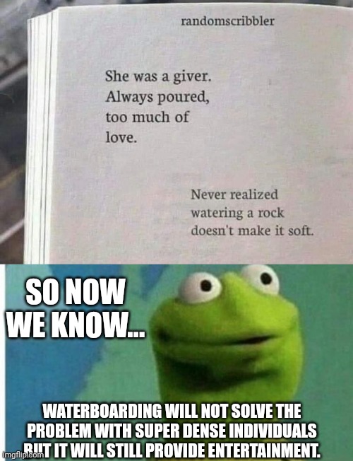 Lol what!! Kermit | SO NOW WE KNOW... WATERBOARDING WILL NOT SOLVE THE PROBLEM WITH SUPER DENSE INDIVIDUALS BUT IT WILL STILL PROVIDE ENTERTAINMENT. | image tagged in comedy,dark humor,kermit the frog,huh | made w/ Imgflip meme maker