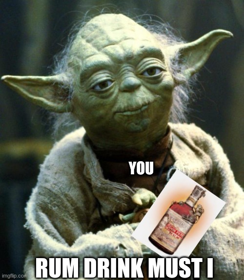 Star Wars Yoda | YOU; RUM DRINK MUST I | image tagged in memes,star wars yoda | made w/ Imgflip meme maker