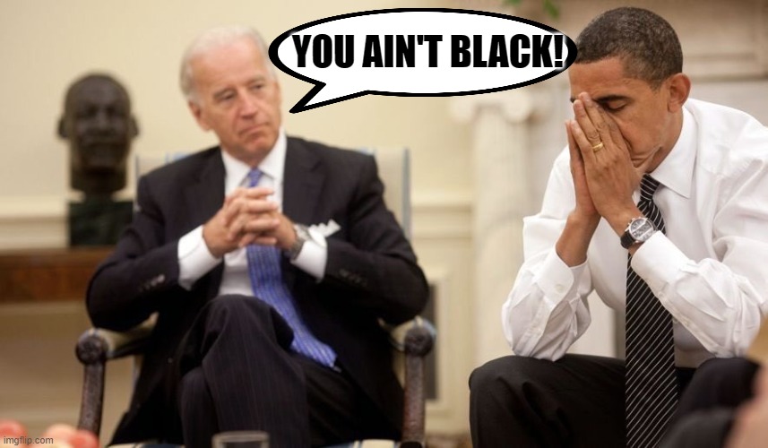 Biden Obama | YOU AIN'T BLACK! | image tagged in biden obama | made w/ Imgflip meme maker