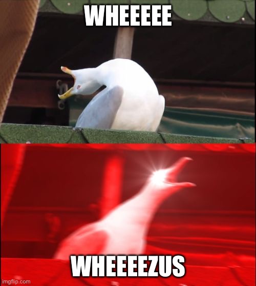 Wheezus | WHEEEEE; WHEEEEZUS | image tagged in screaming seagull | made w/ Imgflip meme maker