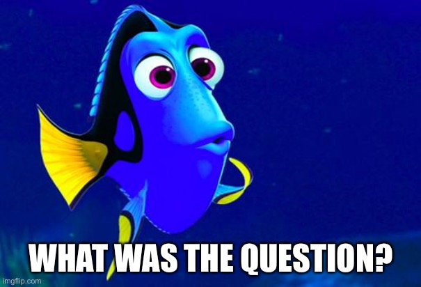 What was the question | WHAT WAS THE QUESTION? | image tagged in bad memory fish,forgetting | made w/ Imgflip meme maker