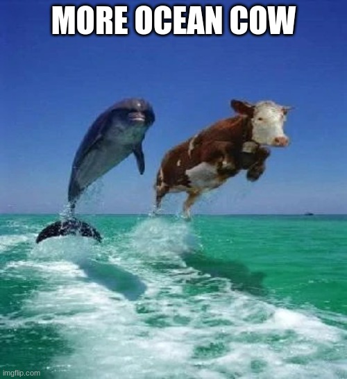 MORE OCEAN COW | made w/ Imgflip meme maker