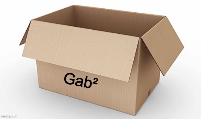 Empty Cardboard Box | Gab² | image tagged in empty cardboard box | made w/ Imgflip meme maker