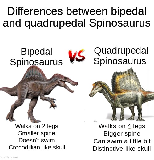 What's the difference? | Differences between bipedal and quadrupedal Spinosaurus; Quadrupedal Spinosaurus; Bipedal Spinosaurus; Walks on 2 legs
Smaller spine
Doesn't swim
Crocodillian-like skull; Walks on 4 legs
Bigger spine
Can swim a little bit
Distinctive-like skull | image tagged in dinosaurs,comparison,spinosaurus | made w/ Imgflip meme maker