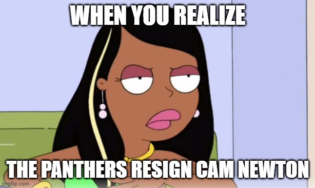 cam newton panthers meme
