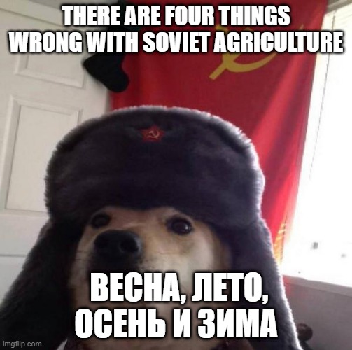 Весна, лето, осень и зима (translate it) | THERE ARE FOUR THINGS WRONG WITH SOVIET AGRICULTURE; ВЕСНА, ЛЕТО, ОСЕНЬ И ЗИМА | image tagged in russian doge | made w/ Imgflip meme maker