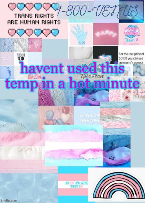 venus's trans temp (ty gummy) | havent used this temp in a hot minute | image tagged in venus's trans temp ty gummy | made w/ Imgflip meme maker