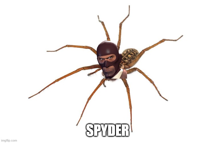 SPYDER | made w/ Imgflip meme maker
