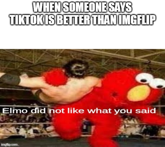 it is | WHEN SOMEONE SAYS TIKTOK IS BETTER THAN IMGFLIP | image tagged in elmo did not like what you said,memes,tiktok,not a gif | made w/ Imgflip meme maker