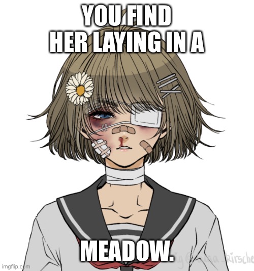 Have fun meeting her sister!:D | YOU FIND HER LAYING IN A; MEADOW. | image tagged in hello | made w/ Imgflip meme maker