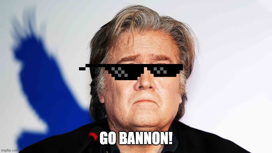 Go Bannon | GO BANNON! | image tagged in steve bannon | made w/ Imgflip meme maker