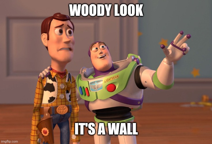 X, X Everywhere Meme | WOODY LOOK; IT'S A WALL | image tagged in memes,x x everywhere | made w/ Imgflip meme maker