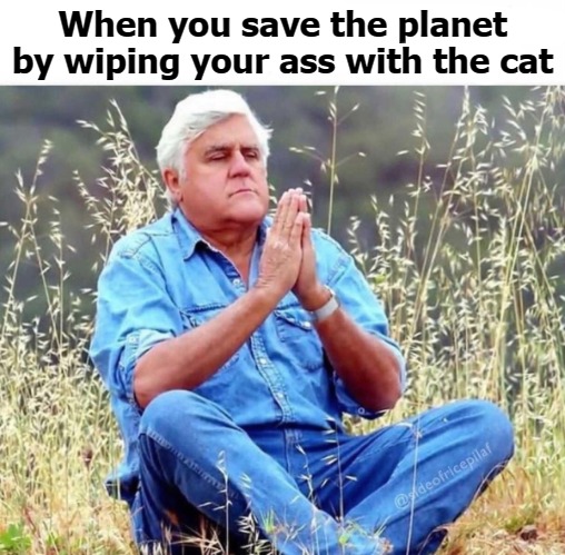 When you save the planet by wiping your ass with the cat | image tagged in planet | made w/ Imgflip meme maker