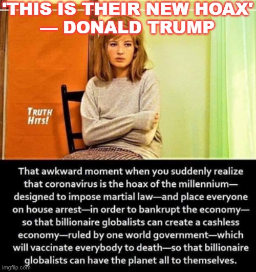 'This is their new hoax' — Donald Trump | 'THIS IS THEIR NEW HOAX'
— DONALD TRUMP | image tagged in covid | made w/ Imgflip meme maker
