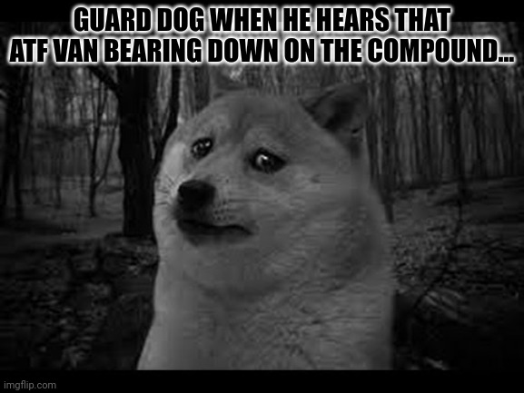 Very sad doge | GUARD DOG WHEN HE HEARS THAT ATF VAN BEARING DOWN ON THE COMPOUND... | image tagged in very sad doge | made w/ Imgflip meme maker