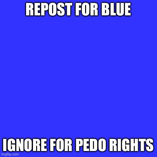 Blank Transparent Square Meme | REPOST FOR BLUE IGNORE FOR PEDO RIGHTS | image tagged in memes,blank transparent square | made w/ Imgflip meme maker