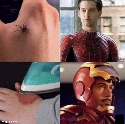 image tagged in memes,spiderman,iron man,iron,spider | made w/ Imgflip meme maker