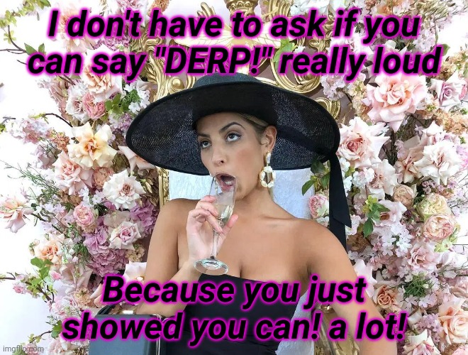 Jade Tunchy | I don't have to ask if you
can say "DERP!" really loud Because you just showed you can! a lot! | made w/ Imgflip meme maker