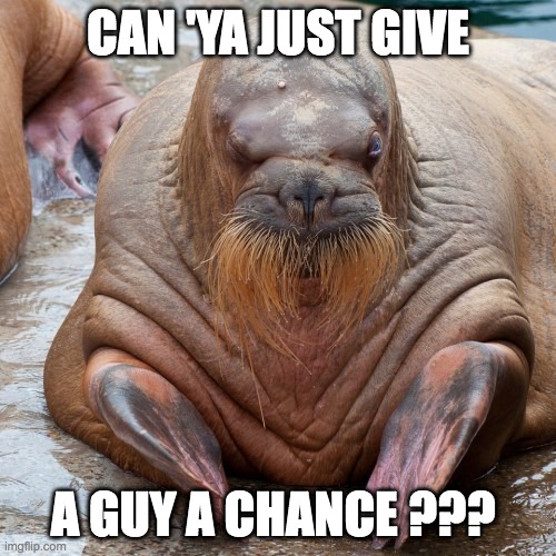Wally | CAN 'YA JUST GIVE; A GUY A CHANCE ??? | image tagged in chance | made w/ Imgflip meme maker