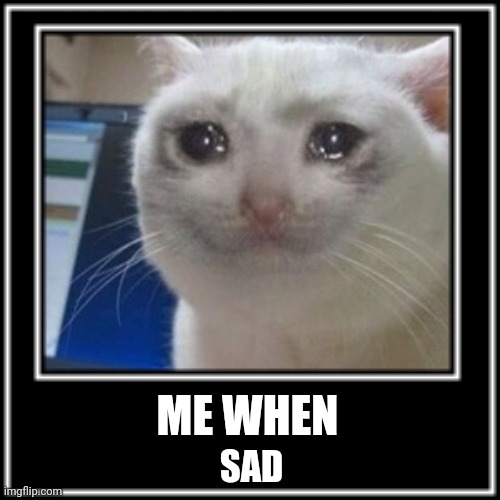 Sad cat | ME WHEN; SAD | image tagged in cats,sad,me when | made w/ Imgflip meme maker